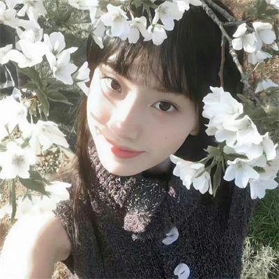 抗体 高清封面