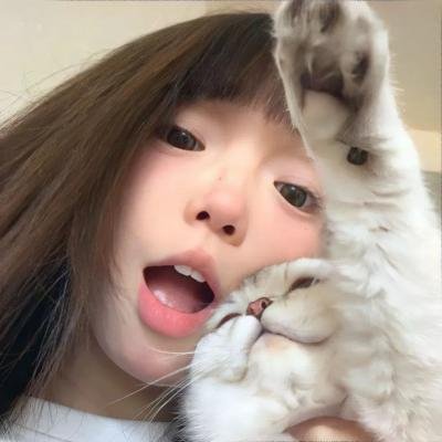 头头是路 高清封面